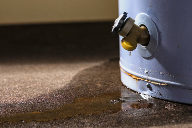 Best Water damage restoration mold remediation  in Pembroke Park, FL