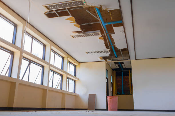 Best Sewage cleanup and water damage restoration  in Pembroke Park, FL