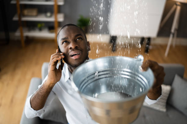 Best Residential water damage restoration  in Pembroke Park, FL