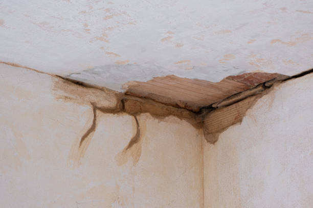 Best Water damage cleanup near me  in Pembroke Park, FL