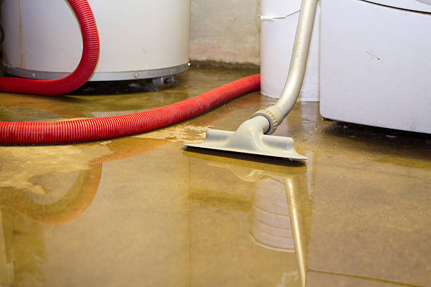 Best Flood damage cleanup  in Pembroke Park, FL