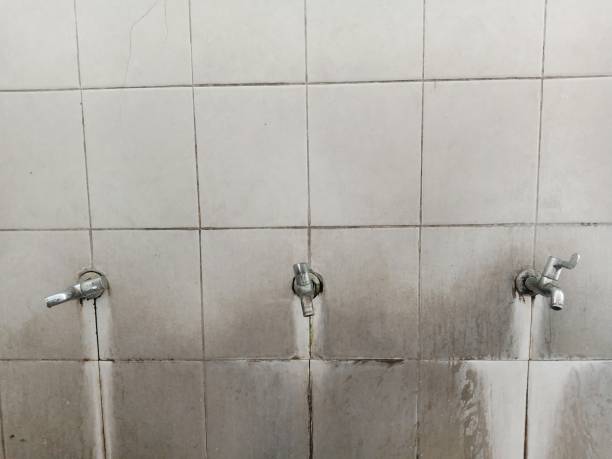 Water damage restoration experts in FL