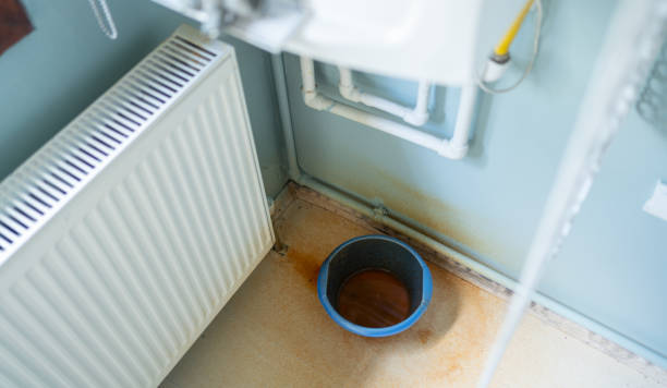 Best Mold removal after water damage  in Pembroke Park, FL