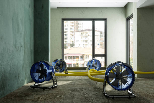 Best 24-hour water damage restoration  in Pembroke Park, FL