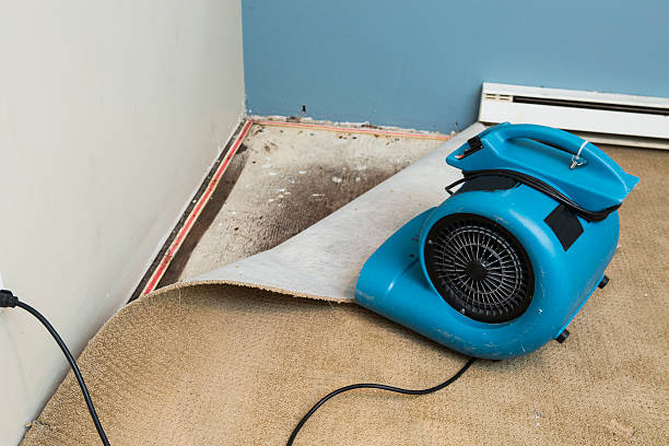 Best Fire Damage Restoration  in Pembroke Park, FL